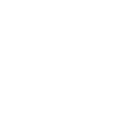 logo-enkel-X-wit